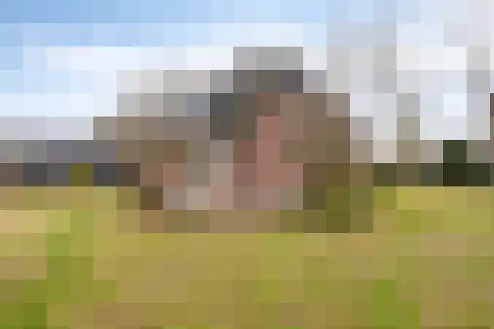 Nieuw Steeg 3 Zelhem thumbnail 33
