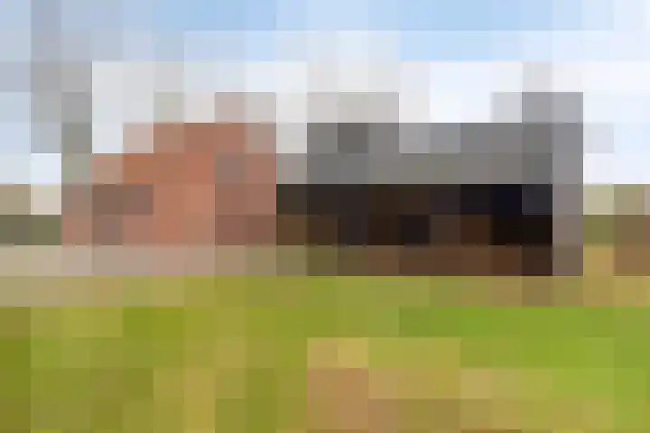 Nieuw Steeg 3 Zelhem thumbnail 34