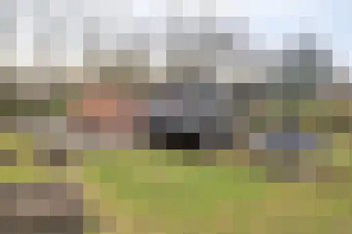 Nieuw Steeg 3 Zelhem thumbnail 36