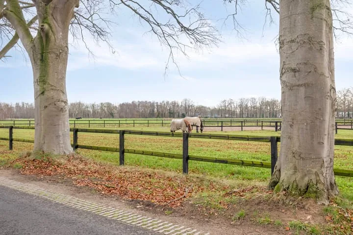 Nieuw Steeg 3 Zelhem thumbnail 37