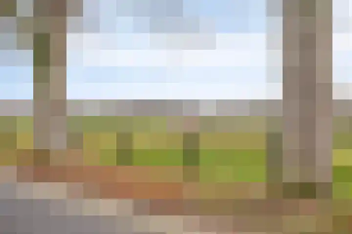 Nieuw Steeg 3 Zelhem thumbnail 37