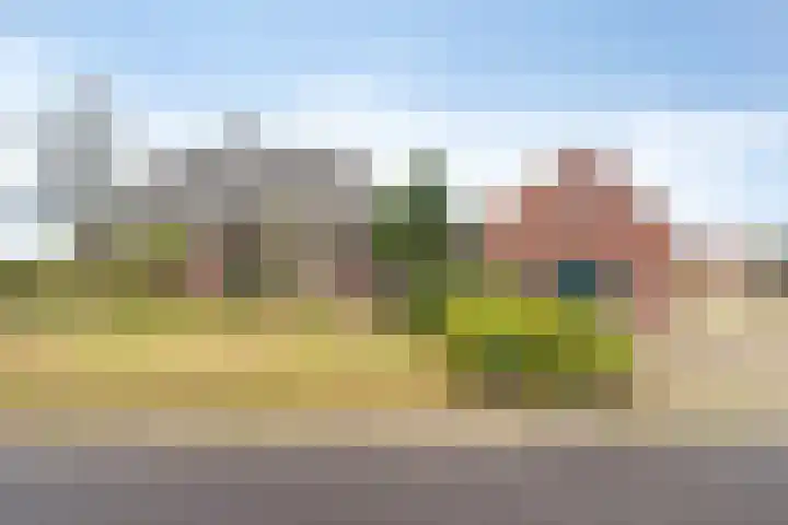 Nieuw Steeg 3 Zelhem thumbnail 4