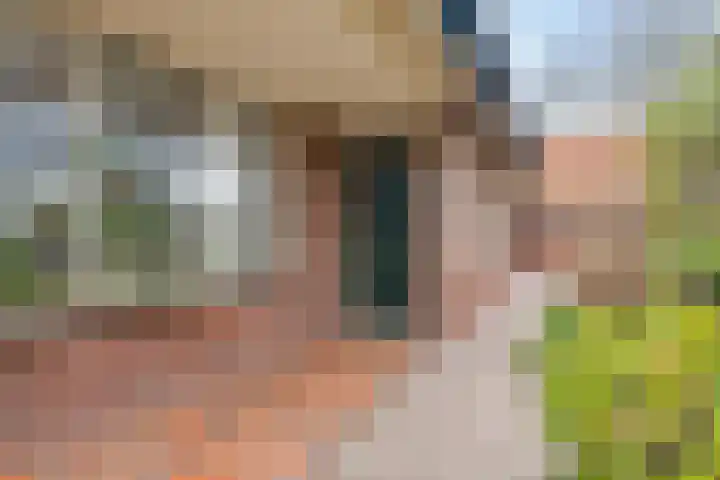 Nieuw Steeg 3 Zelhem thumbnail 6