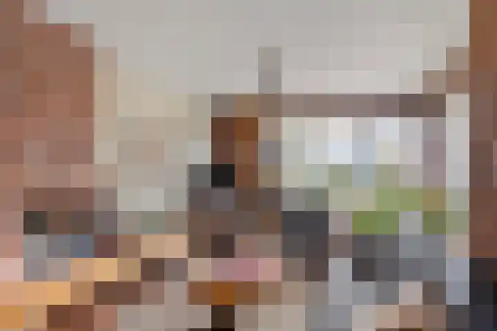 Nieuw Steeg 3 Zelhem thumbnail 9