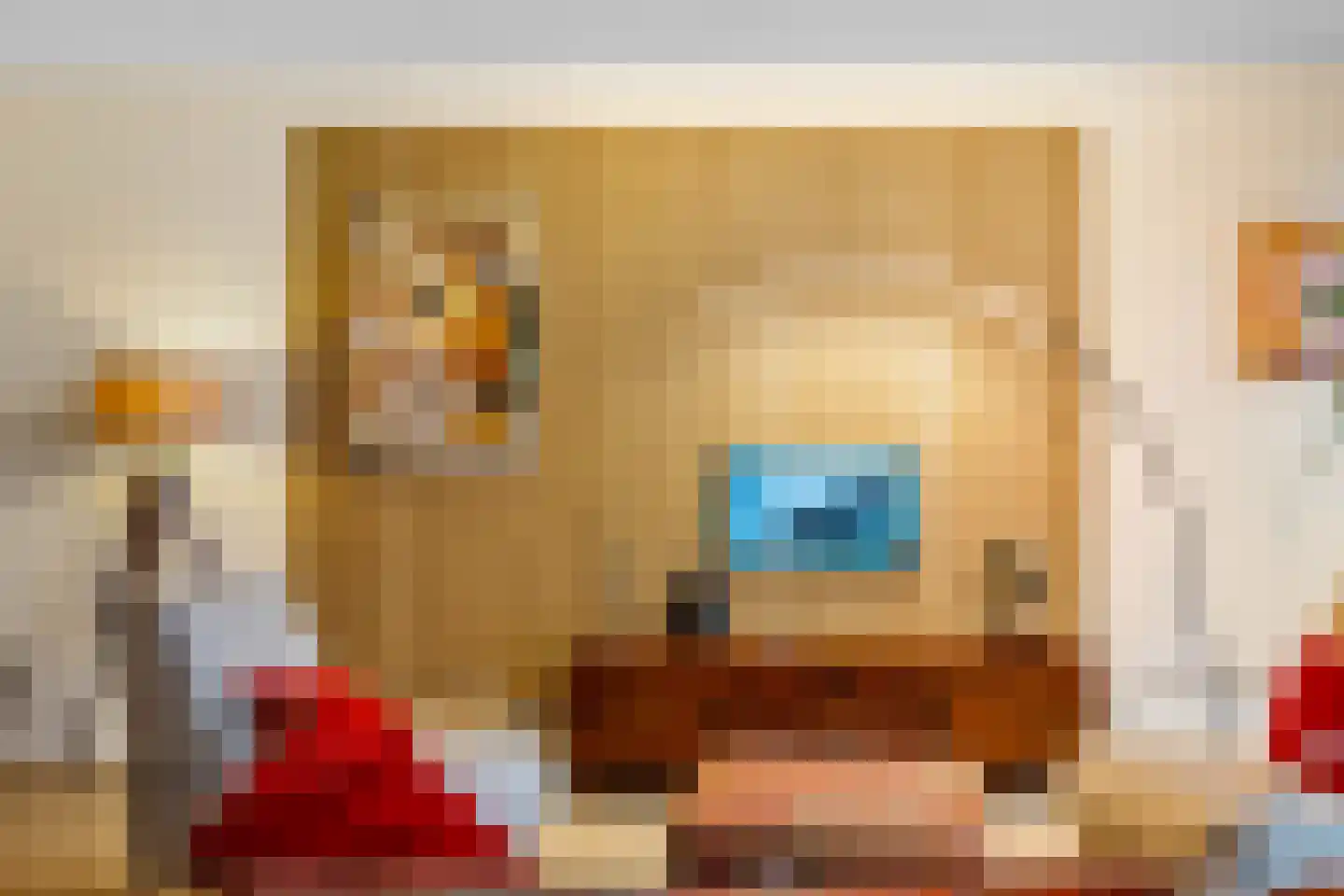 Nieuw Trebol 9 Harlingen thumbnail 12