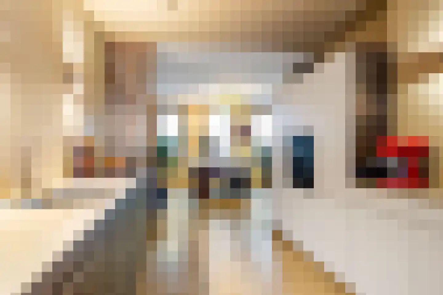 Nieuw Trebol 9 Harlingen thumbnail 18
