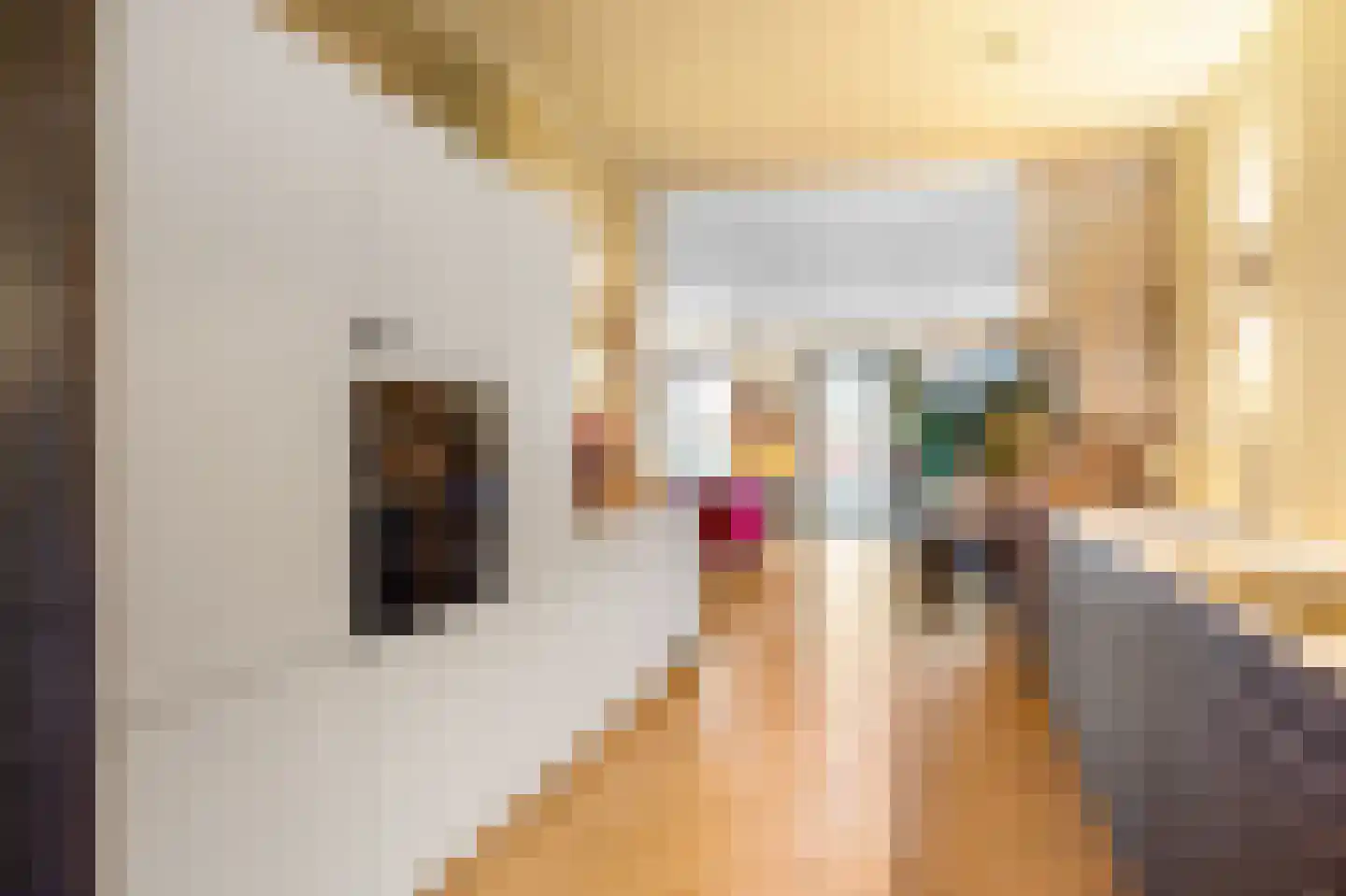 Nieuw Trebol 9 Harlingen thumbnail 20
