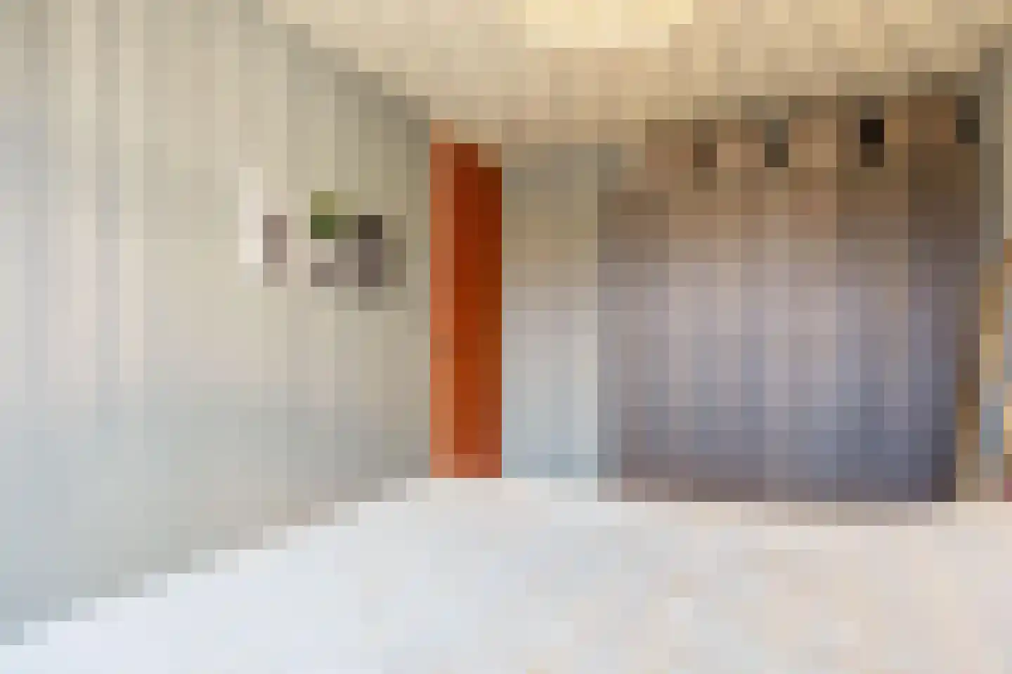 Nieuw Trebol 9 Harlingen thumbnail 29