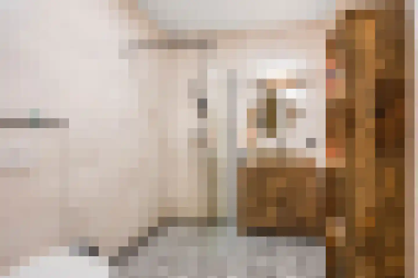 Nieuw Trebol 9 Harlingen thumbnail 31