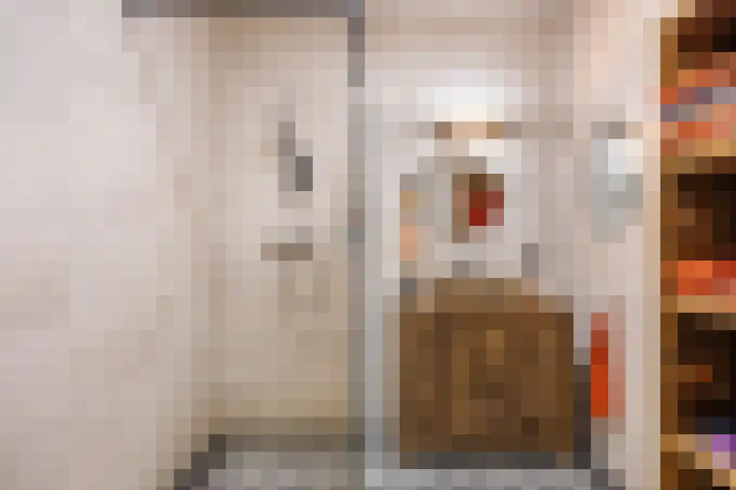 Nieuw Trebol 9 Harlingen thumbnail 33