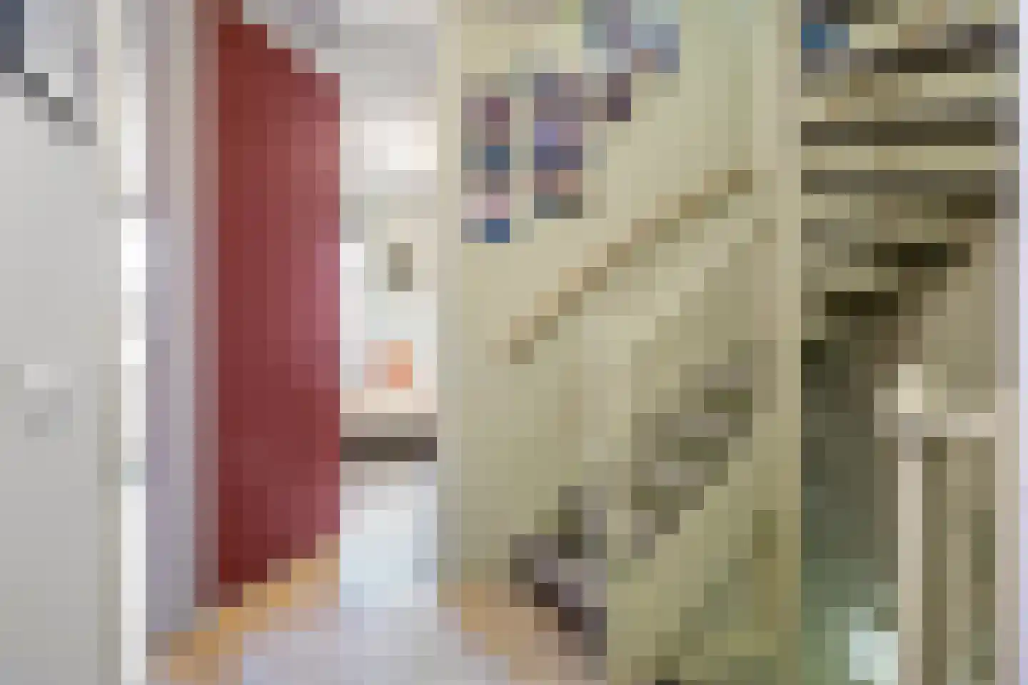 Nieuw Trebol 9 Harlingen thumbnail 34