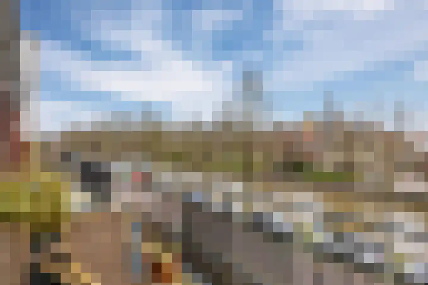 Nieuw Trebol 9 Harlingen thumbnail 7