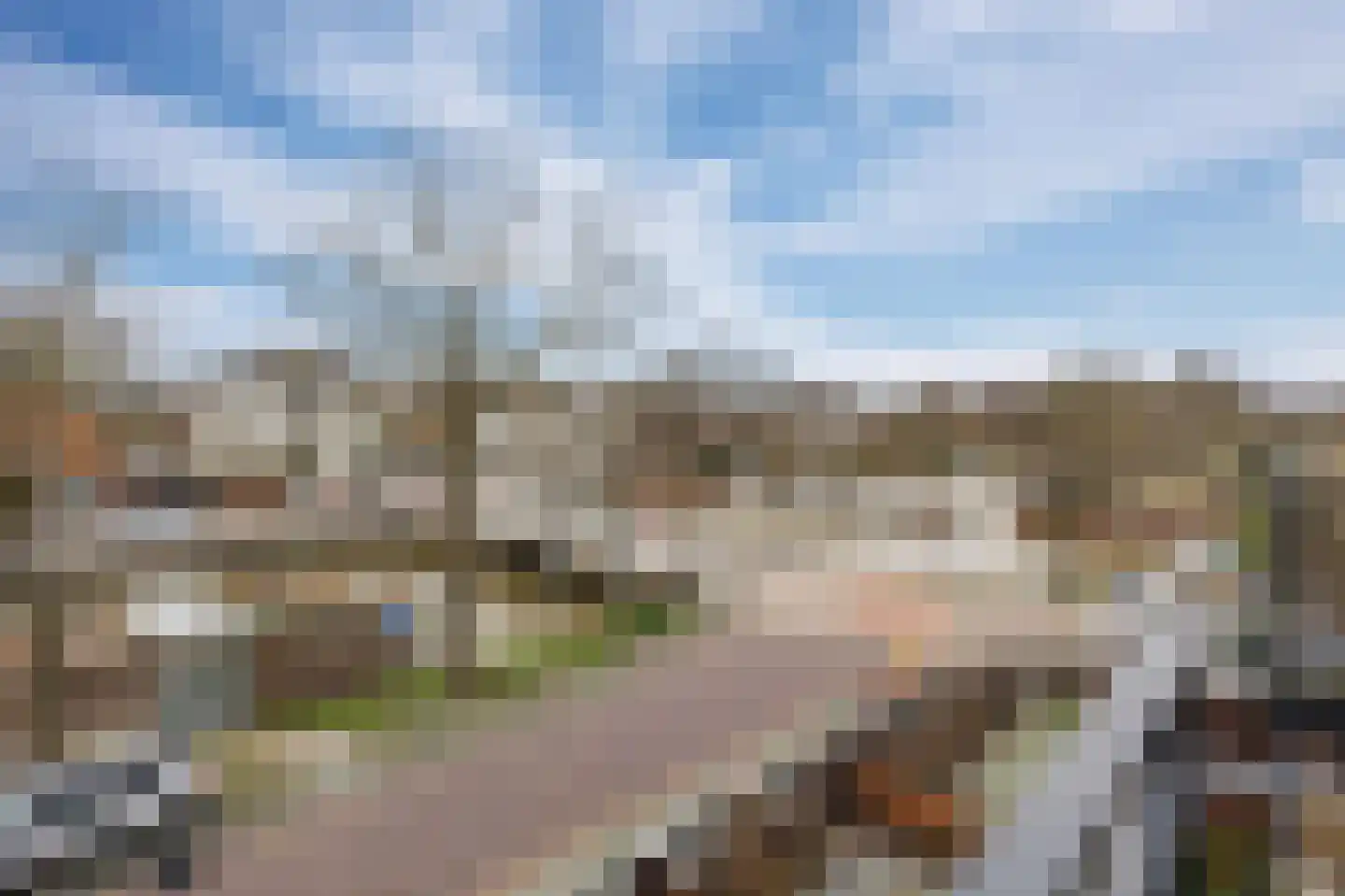 Nieuw Trebol 9 Harlingen thumbnail 9