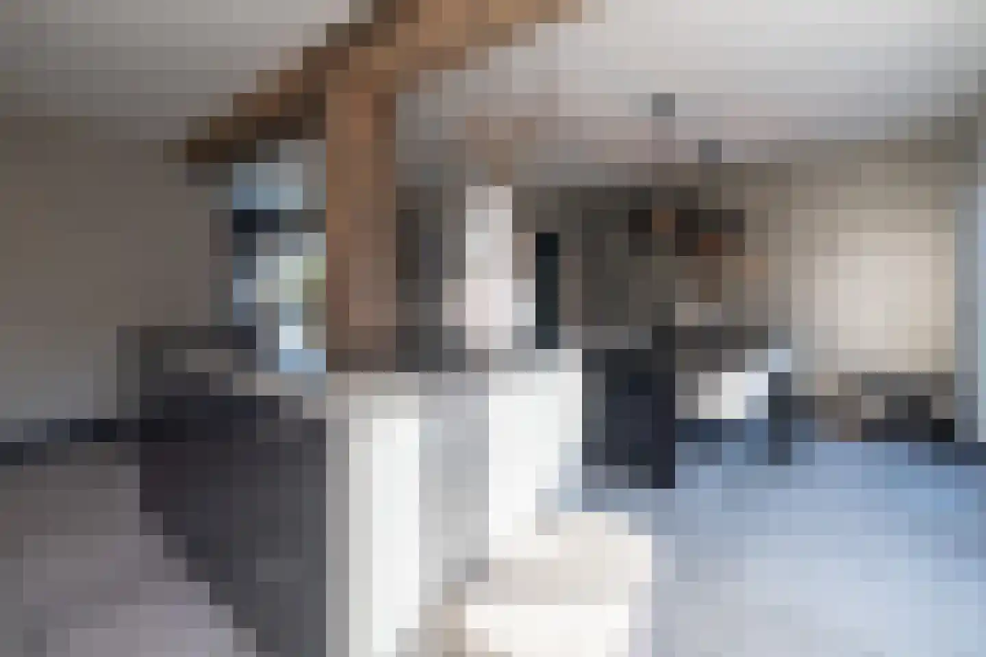 Nieuw Vellerseweg 13 Barneveld thumbnail 17