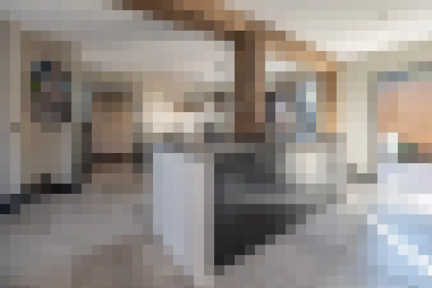 Nieuw Vellerseweg 13 Barneveld thumbnail 18