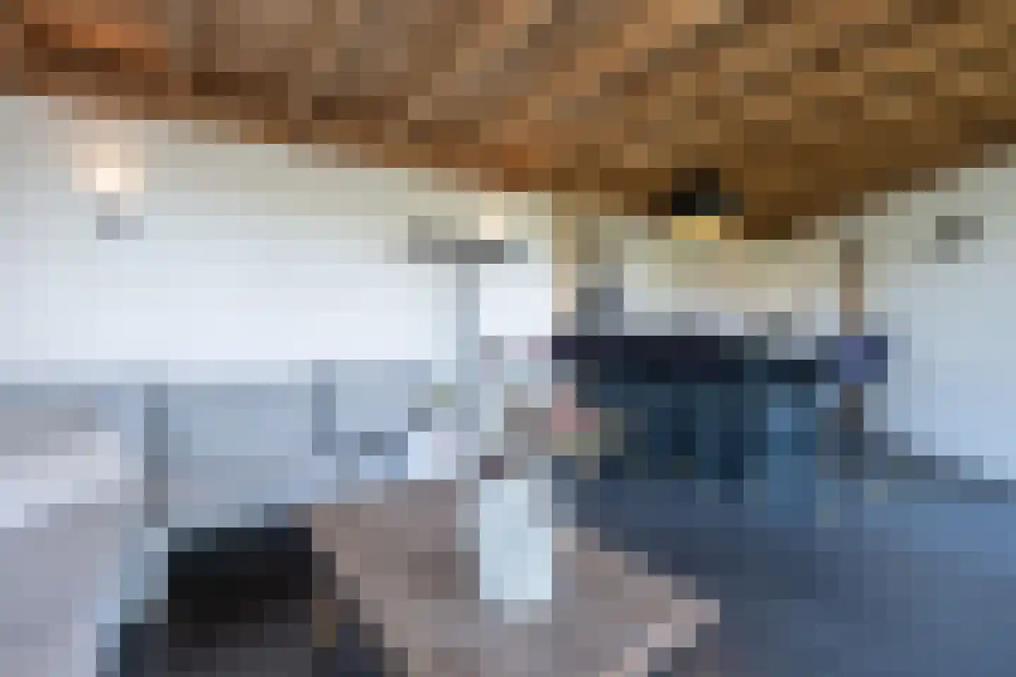 Nieuw Vellerseweg 13 Barneveld thumbnail 48