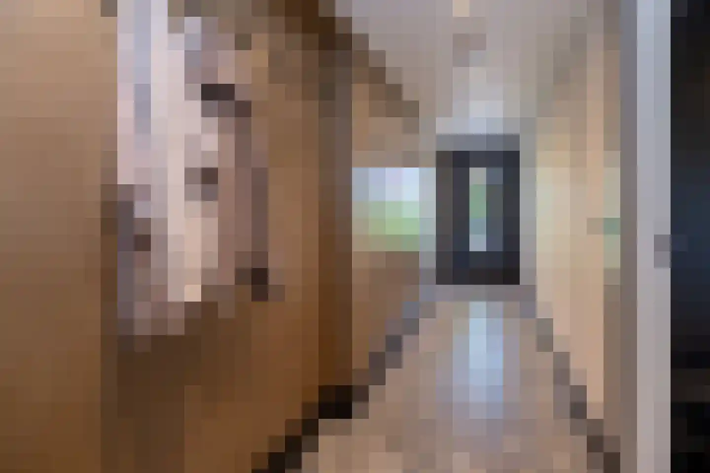 Nieuw Vellerseweg 13 Barneveld thumbnail 9