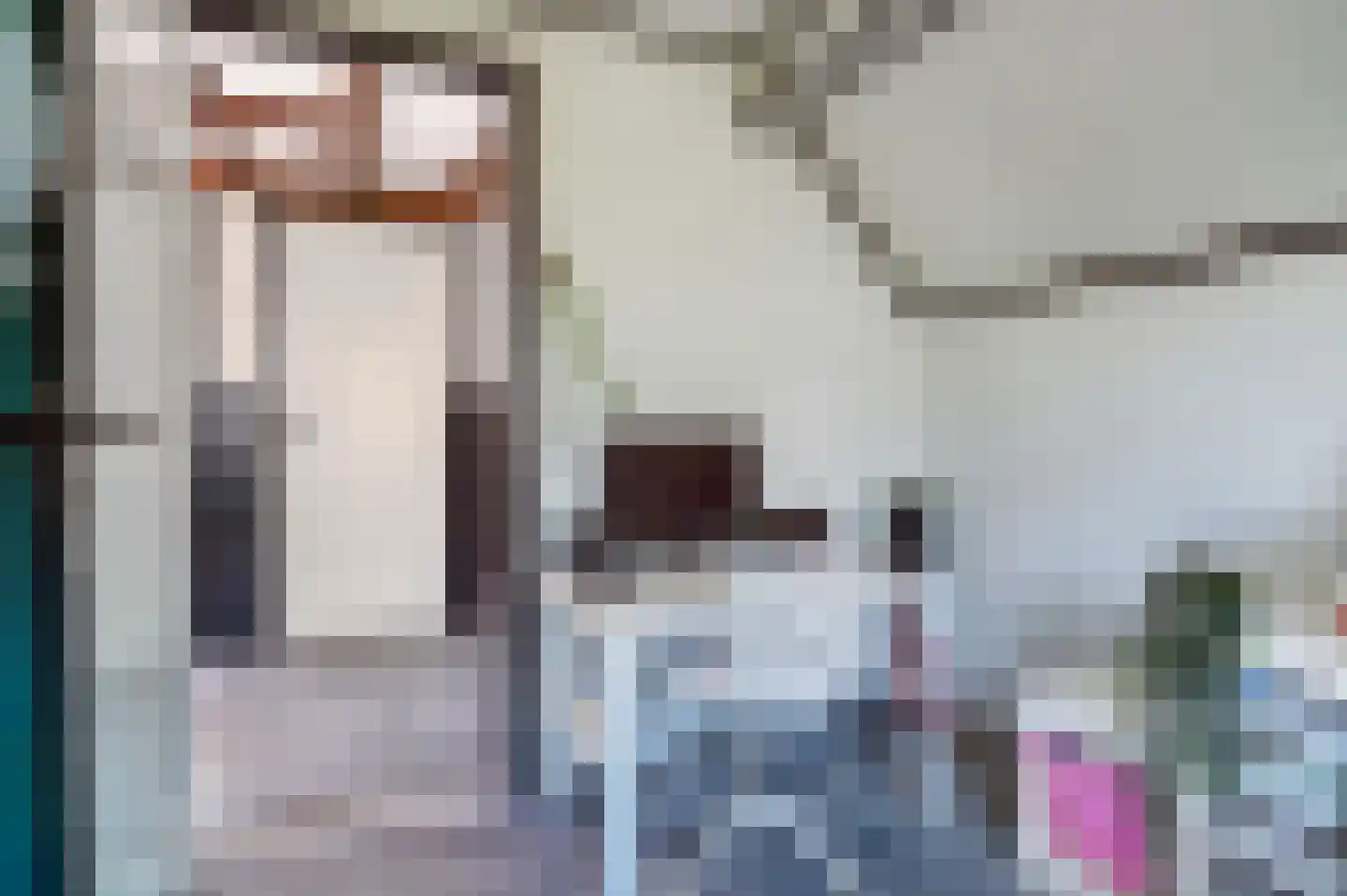 Nieuw-Vossemeersedijk 9 Nieuw-Vossemeer thumbnail 25