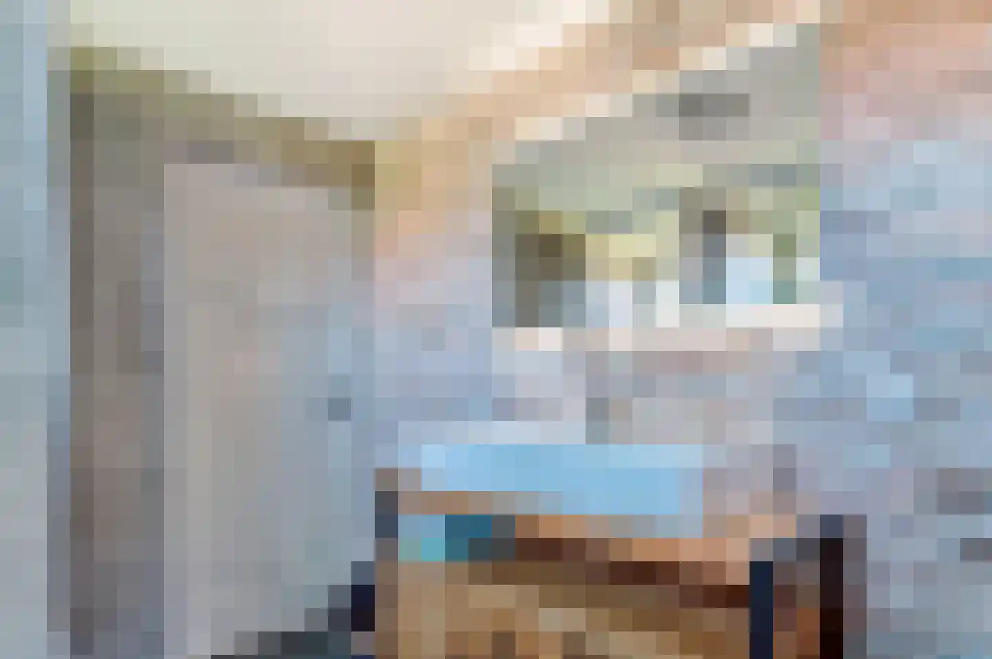 Nieuw-Vossemeersedijk 9 Nieuw-Vossemeer thumbnail 30