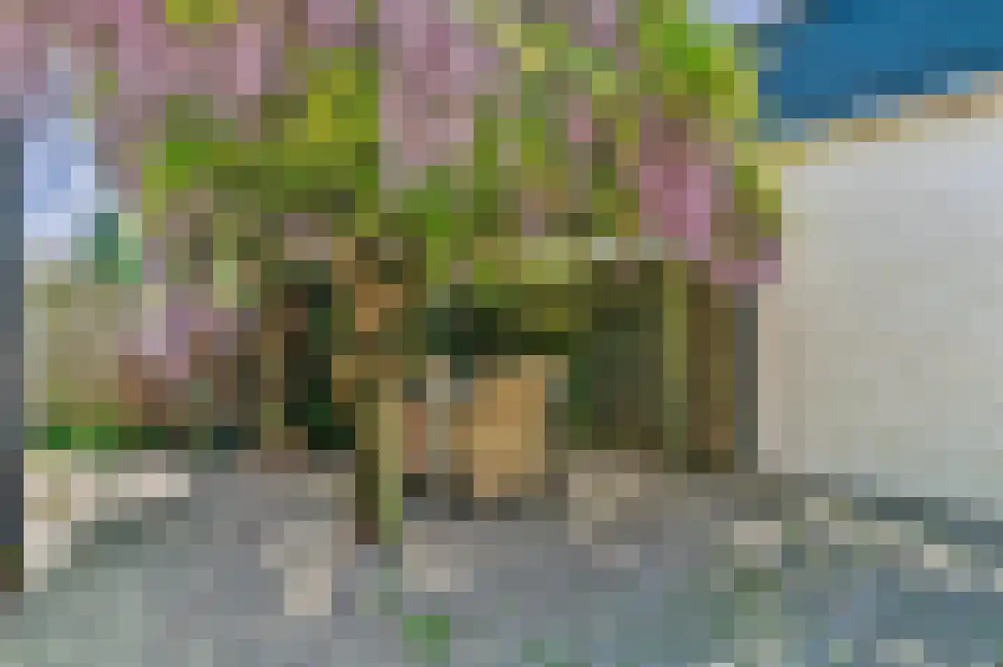 Nieuw-Vossemeersedijk 9 Nieuw-Vossemeer thumbnail 56