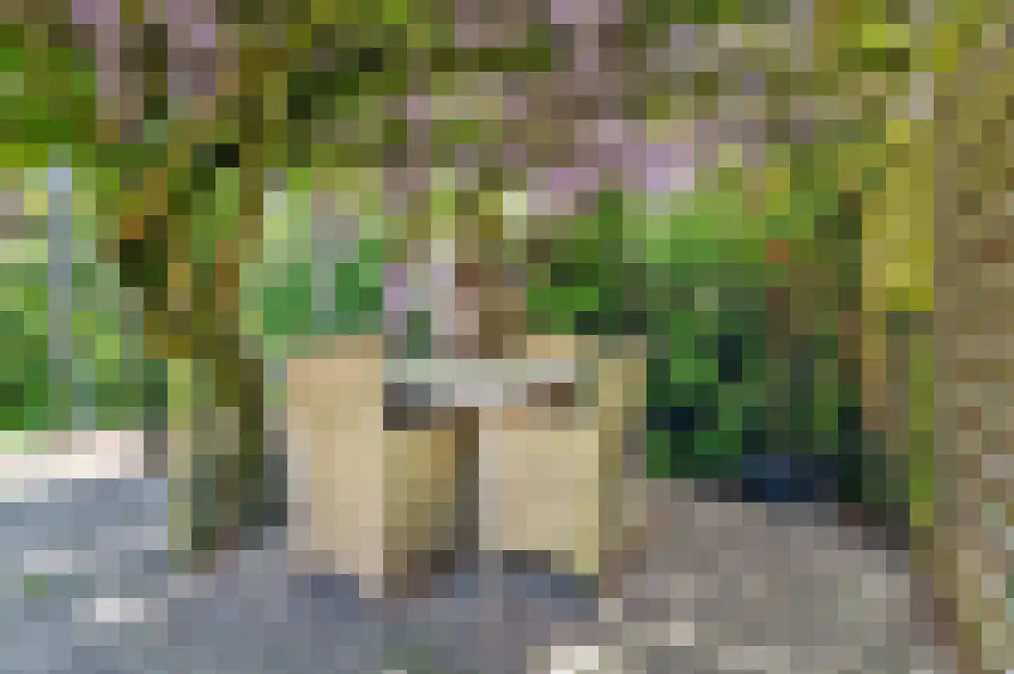 Nieuw-Vossemeersedijk 9 Nieuw-Vossemeer thumbnail 57