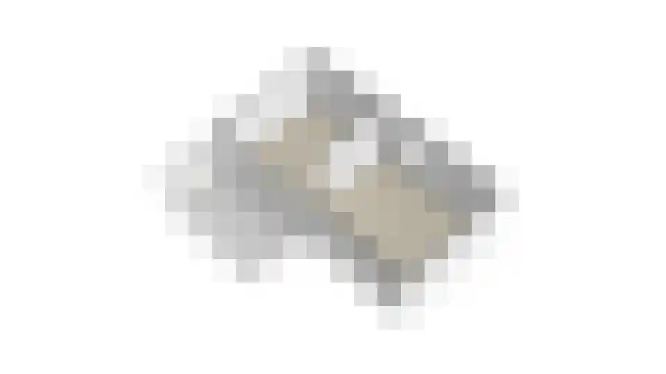 Nieuw-Vossemeersedijk 9 Nieuw-Vossemeer thumbnail 68