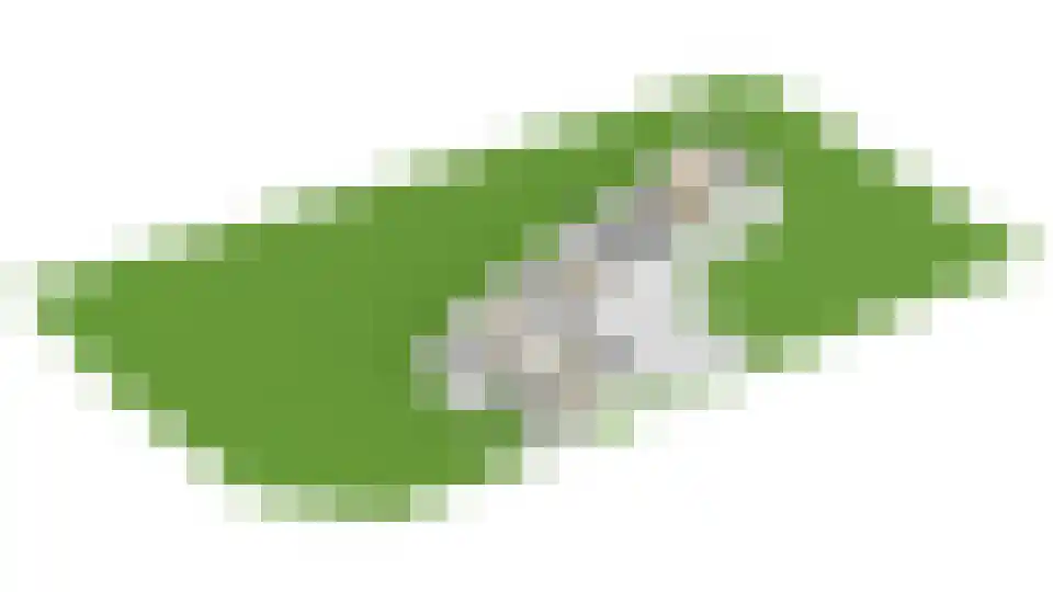 Nieuw-Vossemeersedijk 9 Nieuw-Vossemeer thumbnail 71
