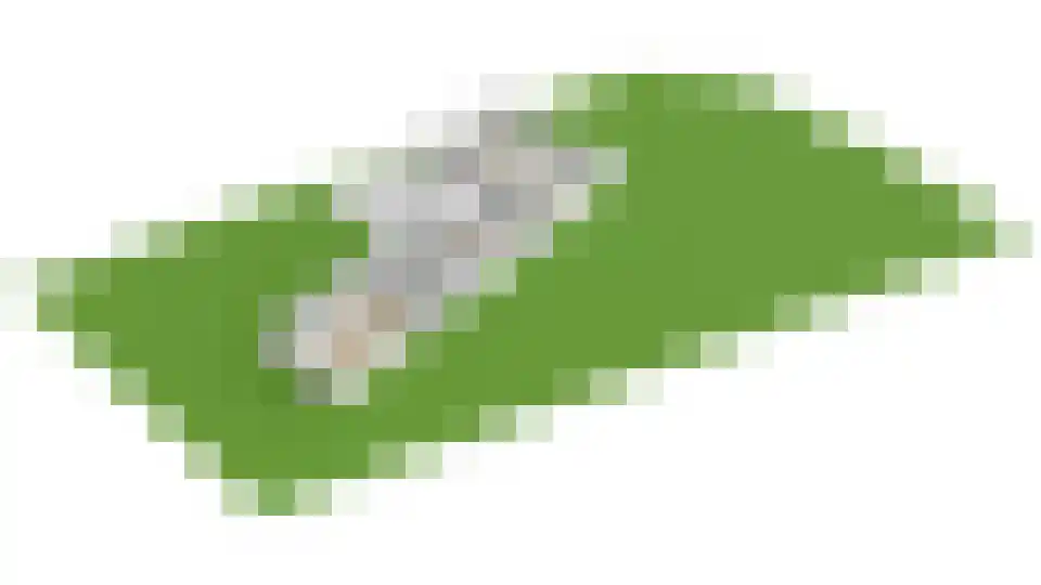Nieuw-Vossemeersedijk 9 Nieuw-Vossemeer thumbnail 72