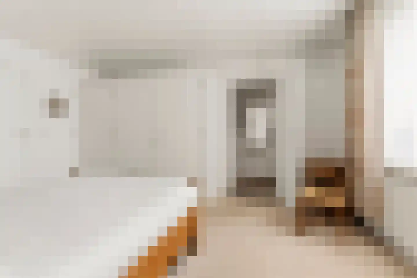 Nieuw Wehlseweg 15 Wehl thumbnail 15