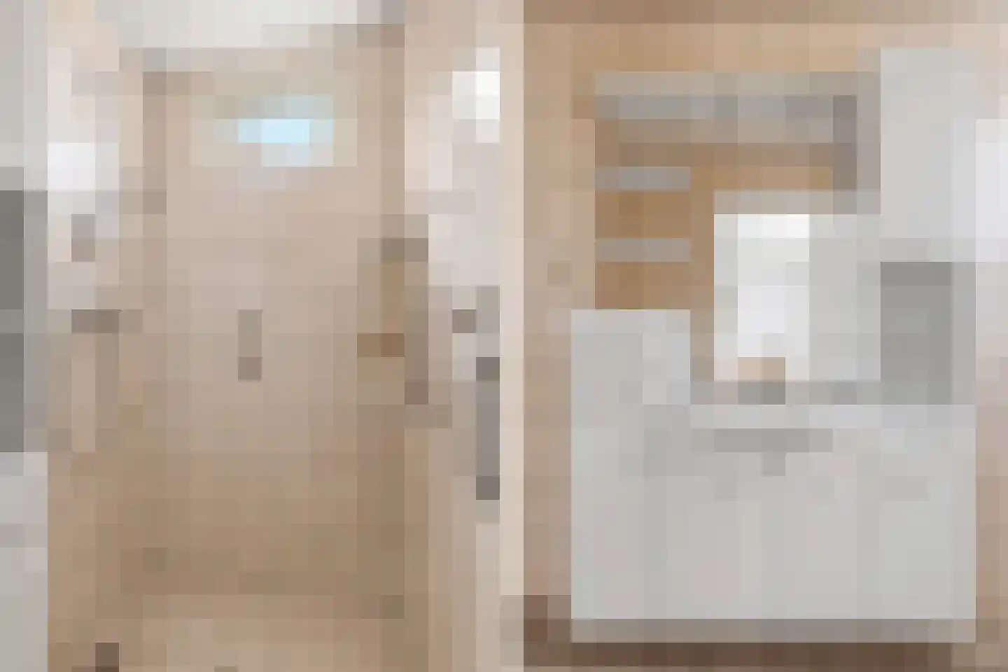 Nieuw Wehlseweg 15 Wehl thumbnail 16