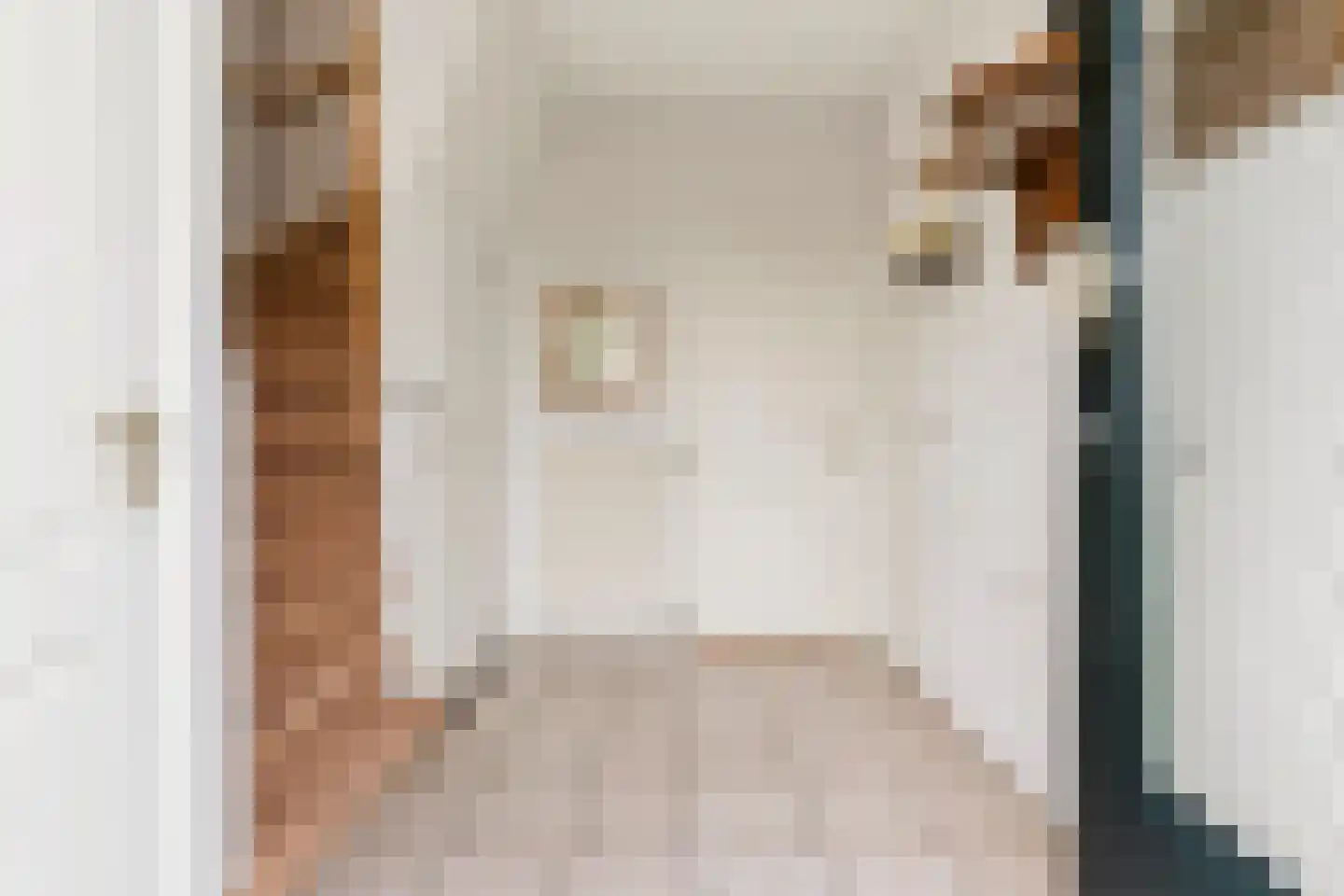 Nieuw Wehlseweg 15 Wehl thumbnail 21