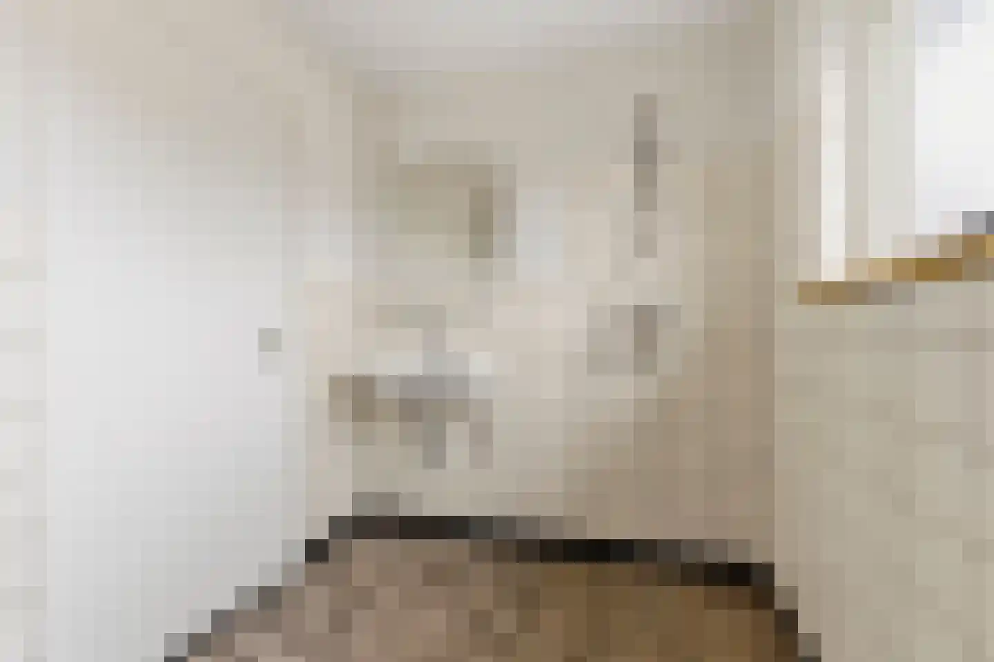 Nieuw Wehlseweg 15 Wehl thumbnail 30