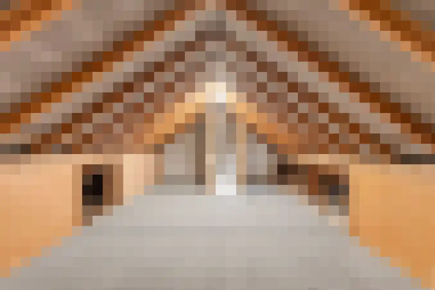 Nieuw Wehlseweg 15 Wehl thumbnail 34