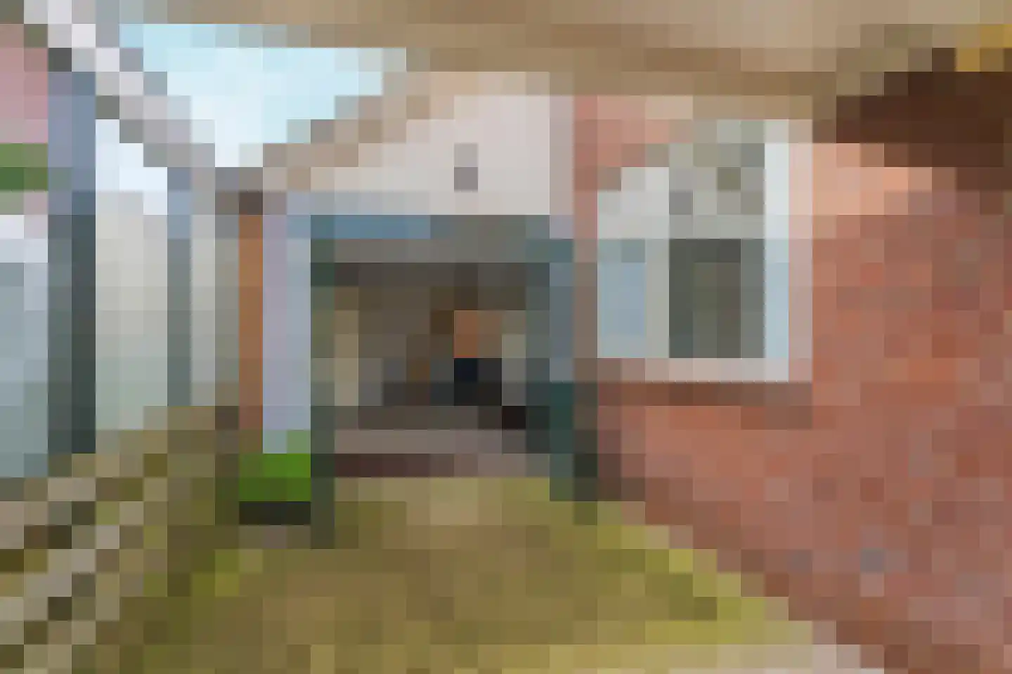 Nieuw Wehlseweg 15 Wehl thumbnail 37