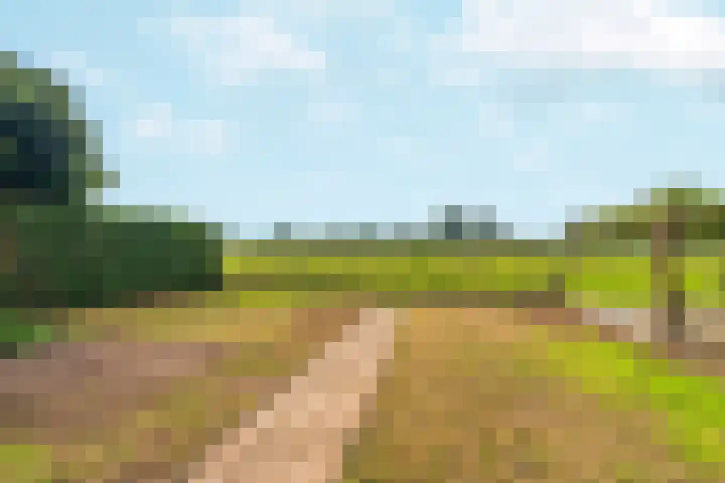Nieuw Wehlseweg 15 Wehl thumbnail 42