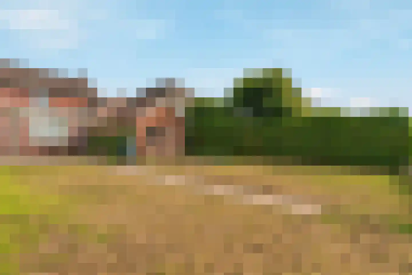 Nieuw Wehlseweg 15 Wehl thumbnail 43