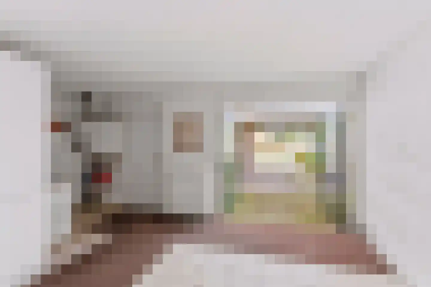 Nieuw Wehlseweg 15 Wehl thumbnail 44