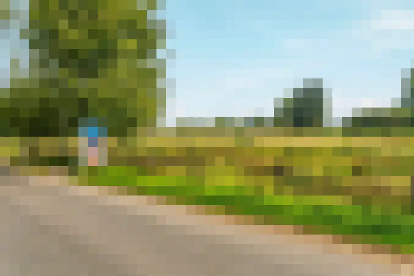 Nieuw Wehlseweg 15 Wehl thumbnail 46