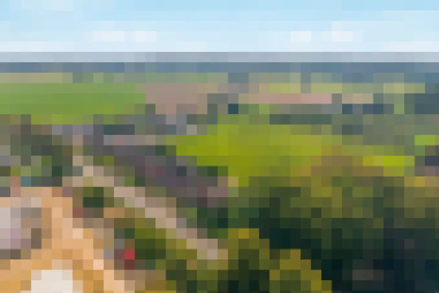 Nieuw Wehlseweg 15 Wehl thumbnail 49
