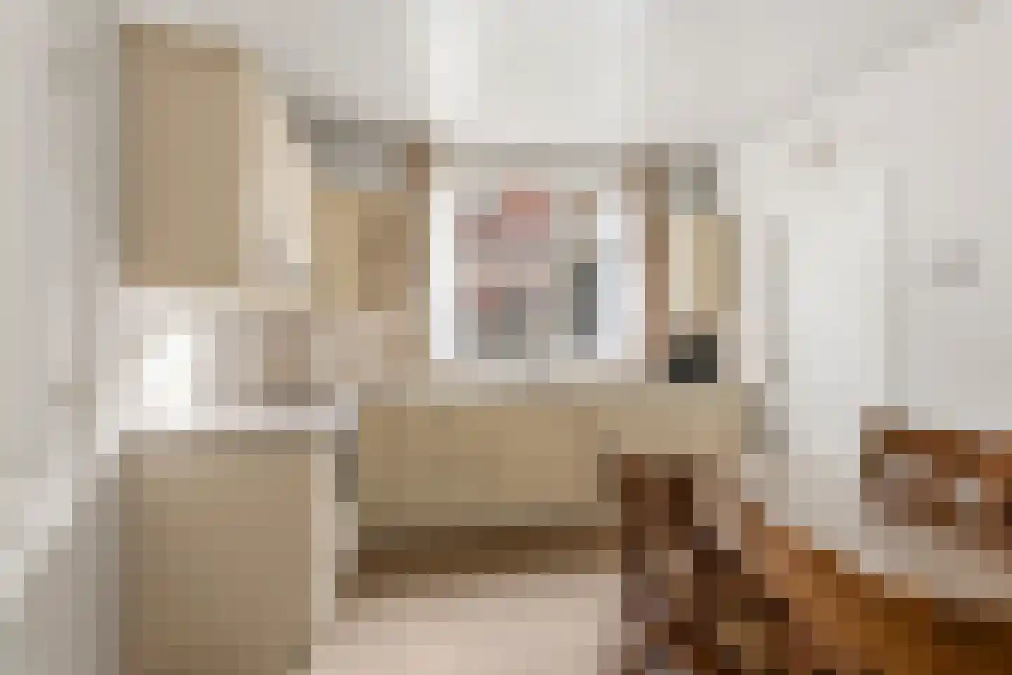 Nieuw Wehlseweg 15 Wehl thumbnail 8