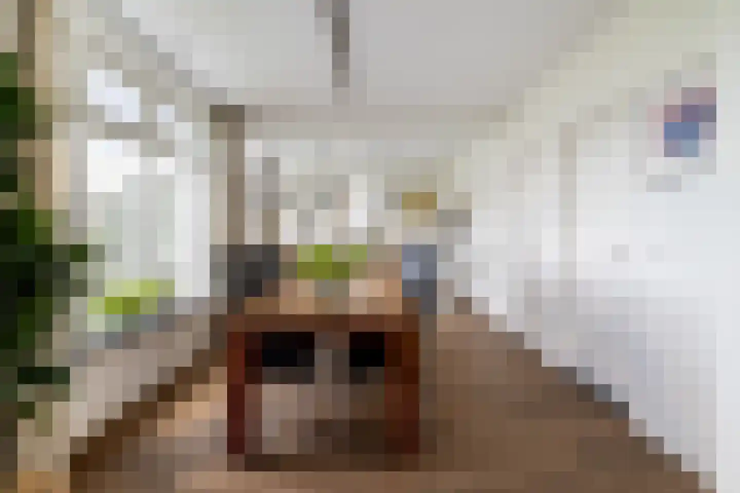 Nieuw Wolfslaarlaan 18 Bavel thumbnail 17
