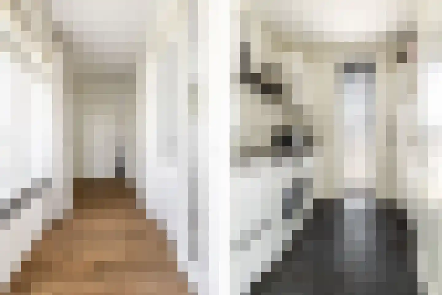 Nieuw Wolfslaarlaan 18 Bavel thumbnail 30