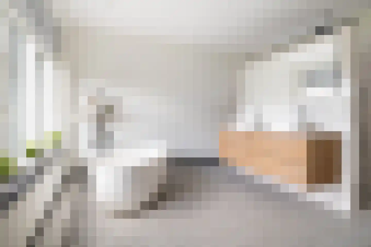 Nieuw Wolfslaarlaan 18 Bavel thumbnail 4