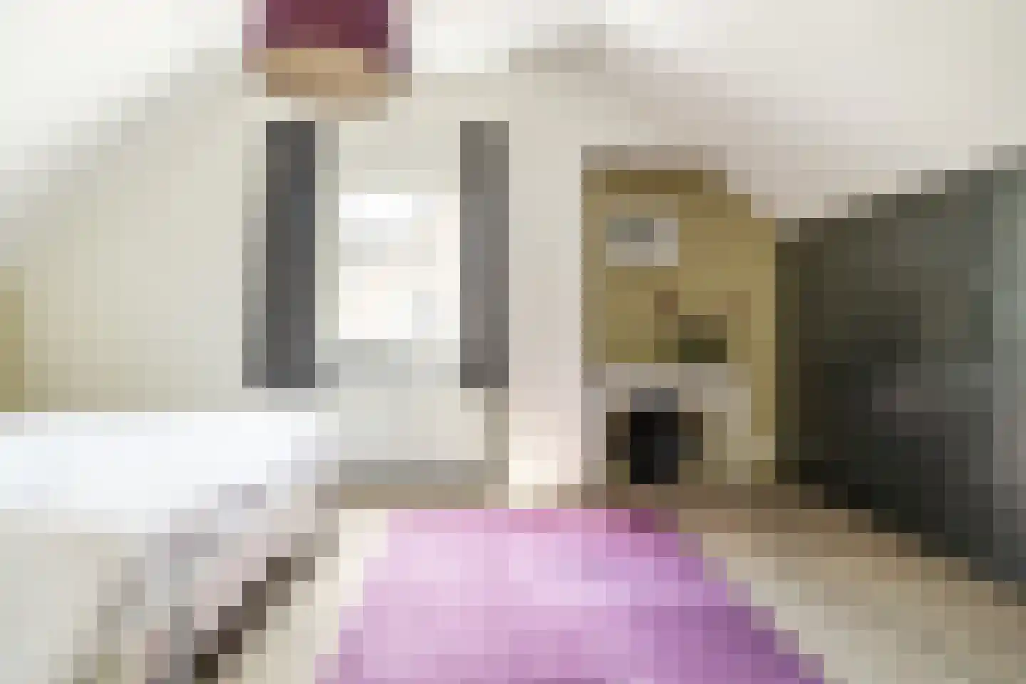 Nieuw Wolfslaarlaan 18 Bavel thumbnail 44