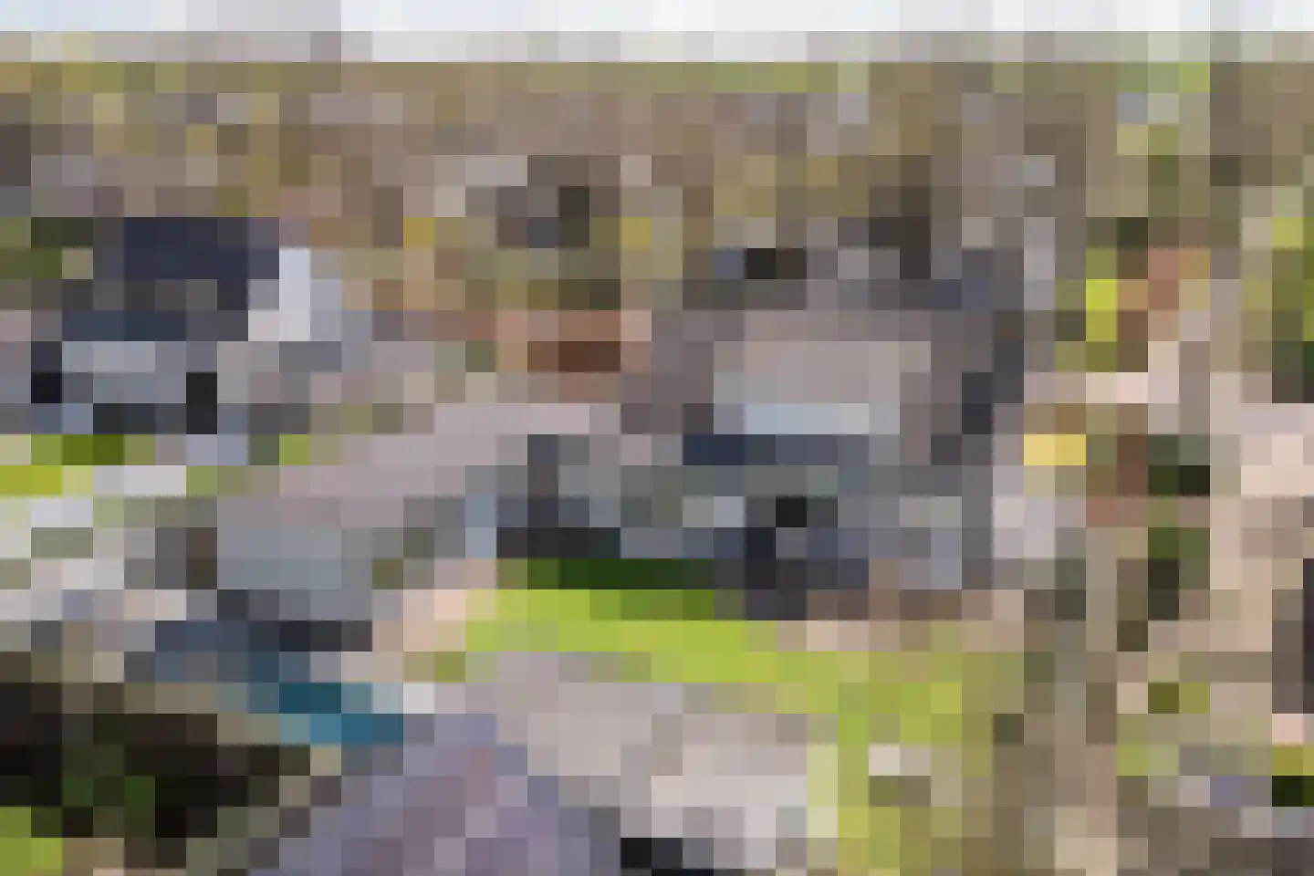 Nieuw Wolfslaarlaan 18 Bavel thumbnail 50