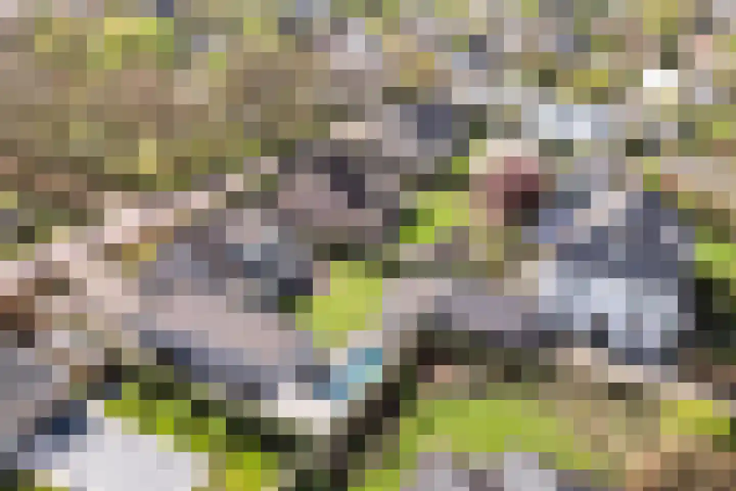 Nieuw Wolfslaarlaan 18 Bavel thumbnail 52