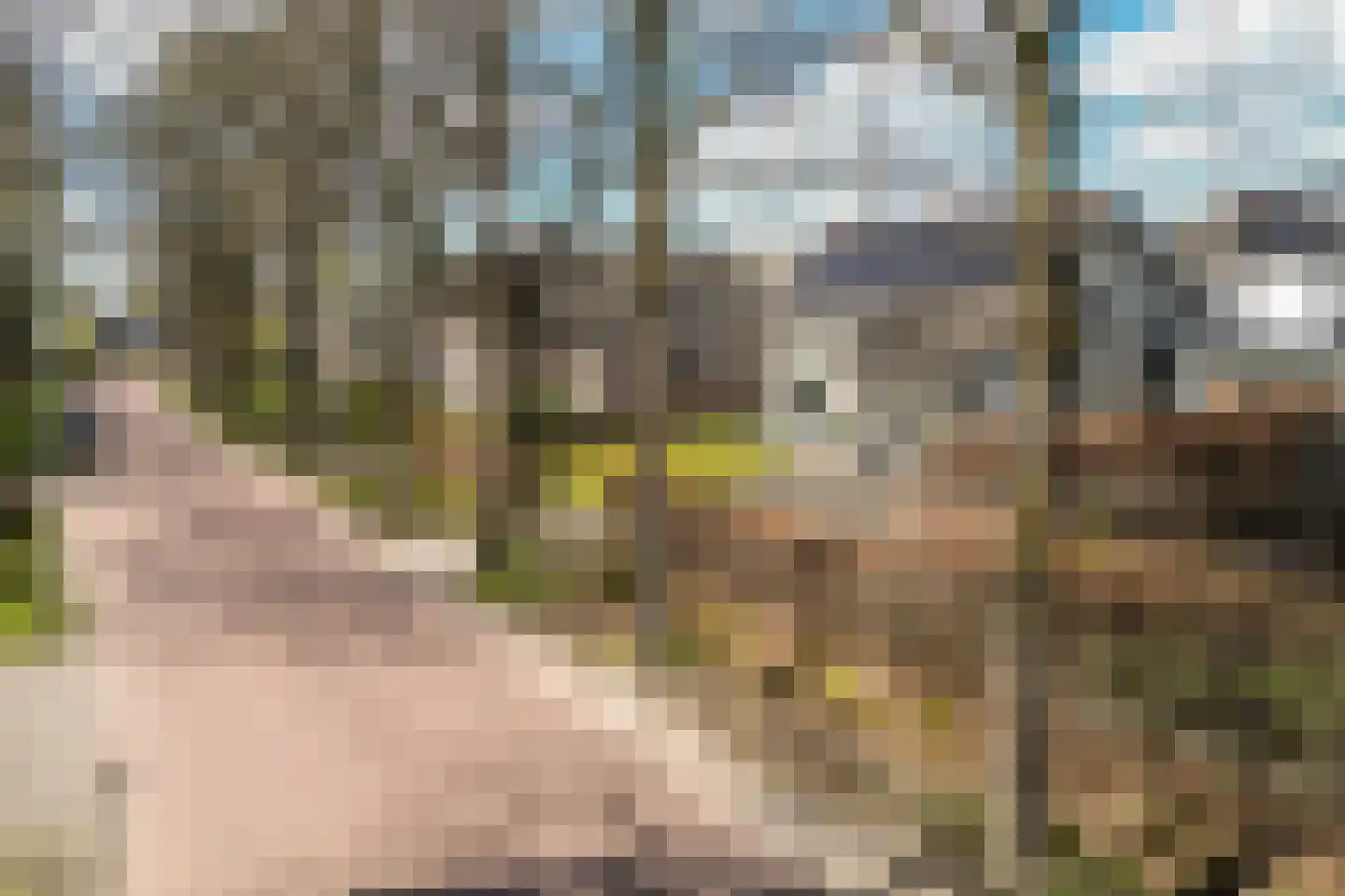 Nieuw Wolfslaarlaan 18 Bavel thumbnail 53