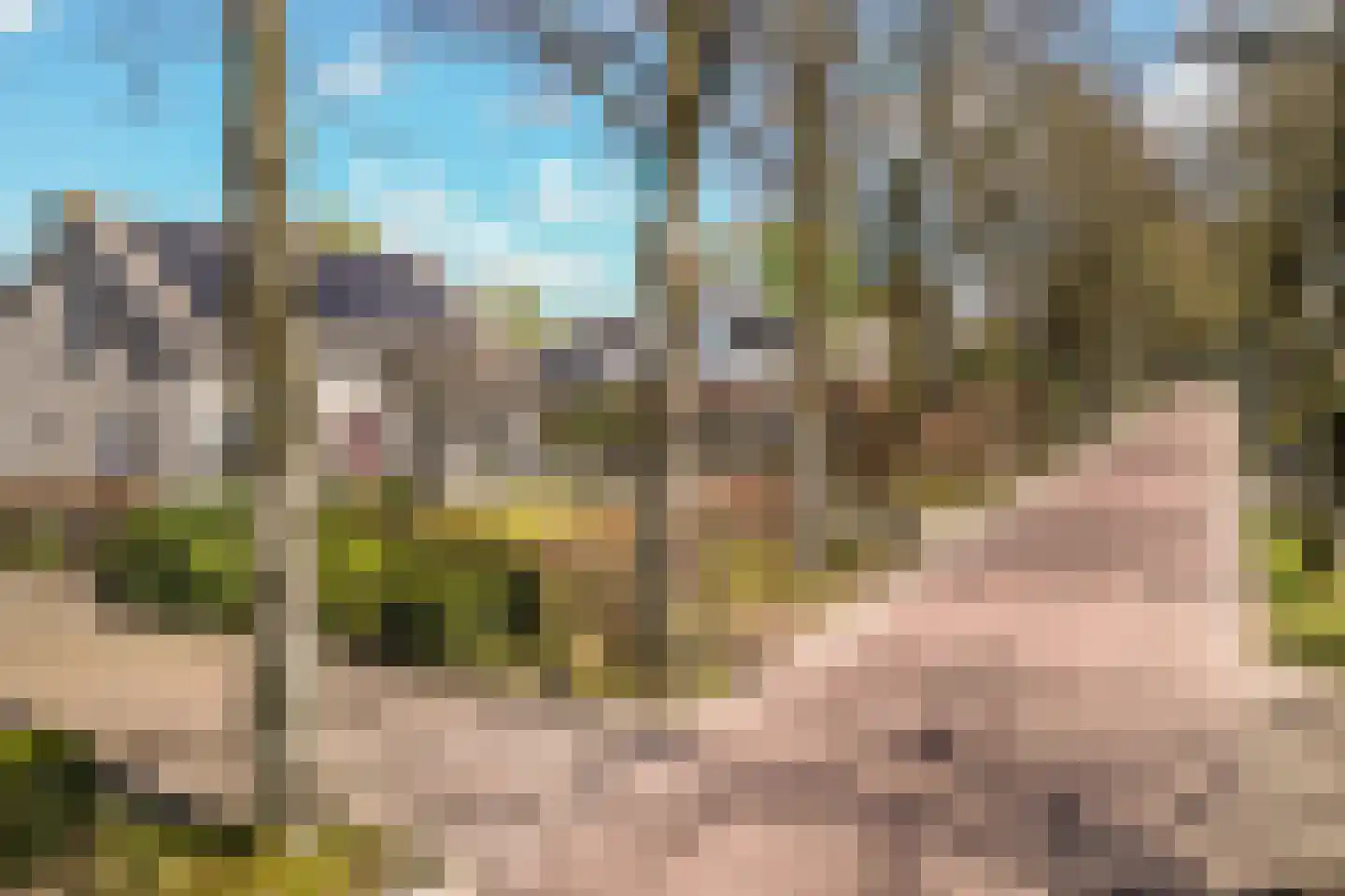 Nieuw Wolfslaarlaan 18 Bavel thumbnail 54
