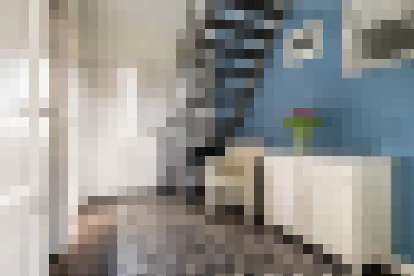 Nieuw Wolfslaarlaan 18 Bavel thumbnail 9