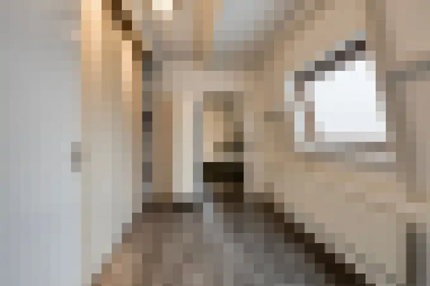 Nieuwborgstraat 103 Venlo thumbnail 19